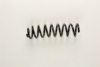 RENAU 8200297954 Coil Spring